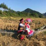 旭旺在天明