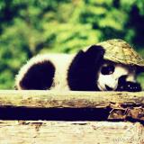追述回忆的我