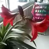 人生只是过路而已