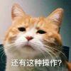 公无渡河