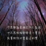 啊飞