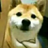 某在斯