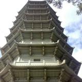 天天果苗
