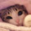 樱•萌