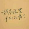 通读全文再评论