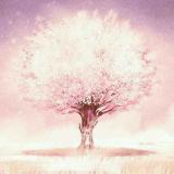 樱花雨