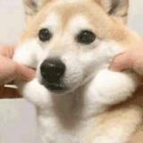 SCP基金会O5大佬