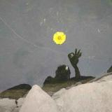 伸手触镜花