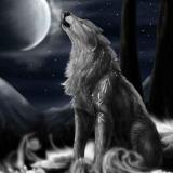 哀大莫过于心死(-.-)