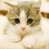 liliture