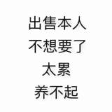 娃娃