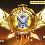 奋斗中的瓢虫