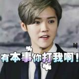 书友91684