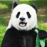 张兴甫