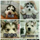 太阳系用户