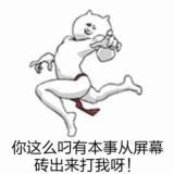 对面五只狗！