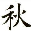 武炼巅峰