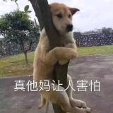死亡之舞Vi