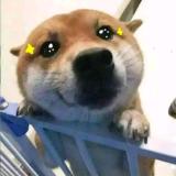 乱世