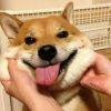 与你。