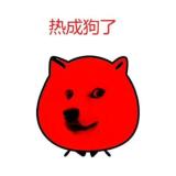 太平洋的风