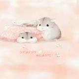 琼