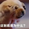 对你的爱一世不变
