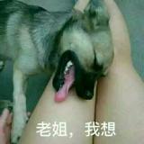 三达剑传人