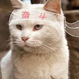 花落墨笔殇