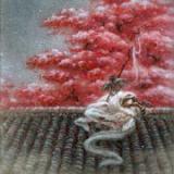 颜清酒粥yan
