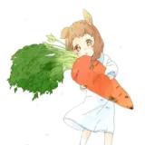 夏昂V