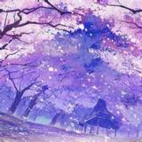 花。已落幕