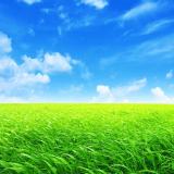 杨柳岸晓风残月