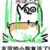 桐子君