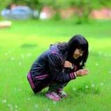 拾忆在星星的梦