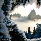 子夜胡少