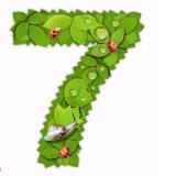 seven