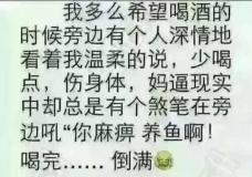 AQ废柴