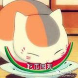 想睡觉的猫