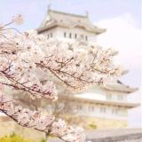 素漪清波