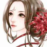 凤舞逍遥