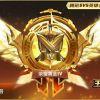阿优普