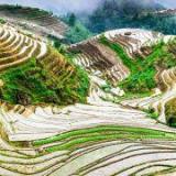 古铜色924汝兴品