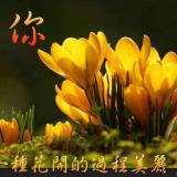 书友78107