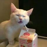 惜兮