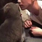 闲的。