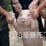 殇过厌倦