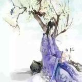 几时蝴蝶梦中见