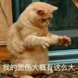 萧萧
