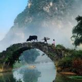 荒野路，星伴我独行